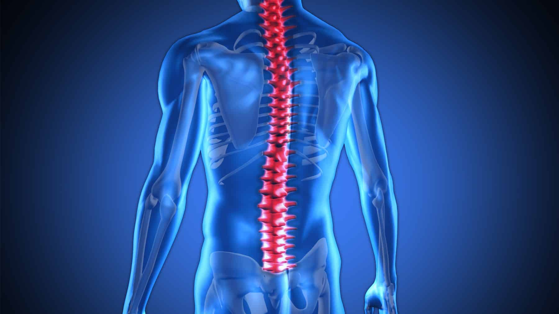 Comprehensive Spinal Care Doral Orthopedic Center